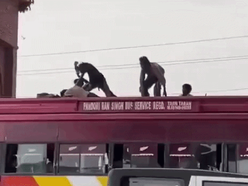 अमृतसर में चलती बस की छत पर भिड़े युवक:जान जोखिम में डाल की हाथापाई, पुलिस के सामने भी लड़ते रहे