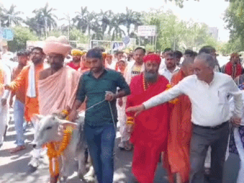 रोहतक में गौमाता की रक्षा के लिए सड़कों पर लोग:साधु संतों ने मिलकर तहसीलदार को दिया ज्ञापन, राष्ट्रमाता घोषित करने की मांग