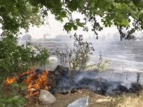 रोहतक के खेतों में आग, 20 एकड़ में फाने जले:मौके पर नहीं पहुंची फायर ब्रिगेड; कुछ दूरी पर प्राइवेट अस्पताल