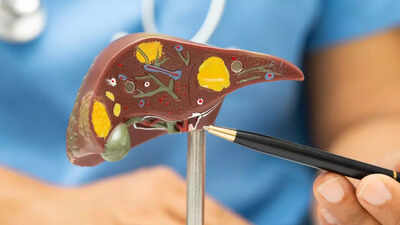 World’s first pig liver transplant keeps man alive for 171 days in China | World News