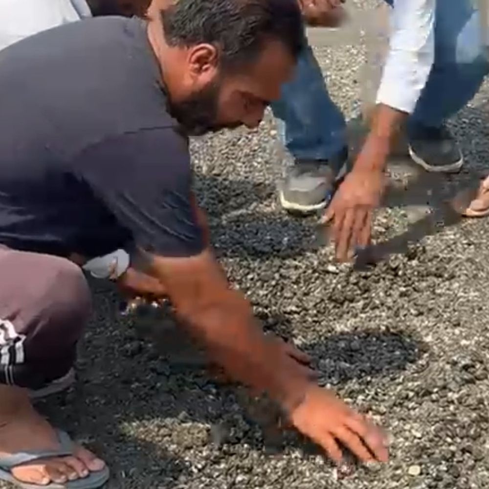 मोगा में सड़क निर्माण में घटिया सामग्री का आरोप:पंचायत में फूटा गुस्सा, नई सड़क में पड़ने लगी दरारें, उच्च स्तरीय जांच की मांग