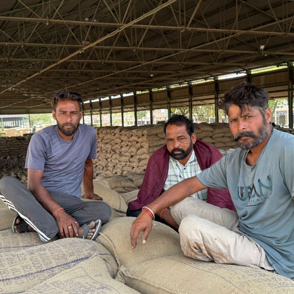 फाजिल्का अनाज मंडी में लिफ्टिंग बंद, रखने को जगह नहीं:एजेंसियों को नोटिस, मजदूरों को 5 दिन से काम नहीं; जुर्माने की चेतावनी