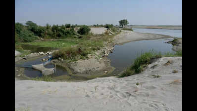 Why Yamuna Is Now Brownish Narrow Stream | Delhi News