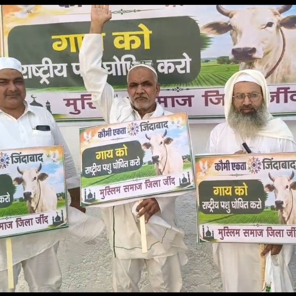 जींद में गाय को राष्ट्रीय पशु बनाने की मांग तेज:बकरा ईद पर मुस्लिम समाज ने लगाए पोस्टर, सरकार से की घोषणा की अपील