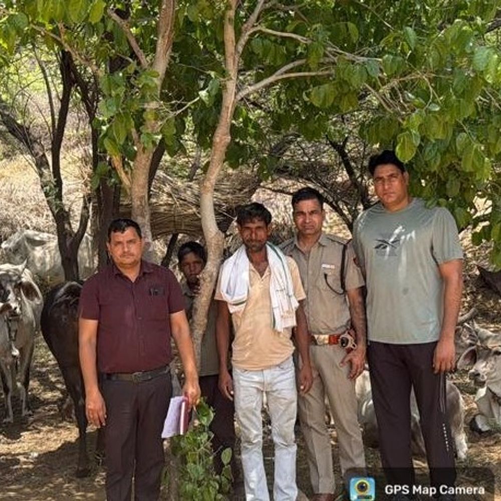 नूंह पुलिस का गोवंश संरक्षण अभियान शुरू:गांव- गांव जा रही टीम, जीपीएस से निगरानी, तस्करी रोकने का लक्ष्य