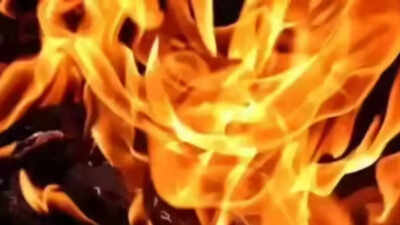 9 rescued as fire breaks out at cooler grass factory in Delhi | Delhi News
