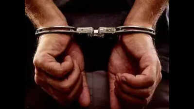 3 arrested in planned robbery case | Delhi News