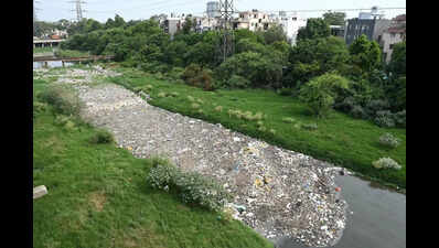 Authorities dispute sewage discharge responsibility | Delhi News
