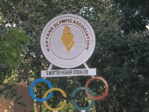 हरियाणा में शिव नरेश स्पोर्टस मालिक से ₹3.50 करोड़ ठगे:हरियाणा ओलिंपिक एसोसिएशन में अटकी थी पेमेंट, रिलीज करवाने के लालच में बना शिकार