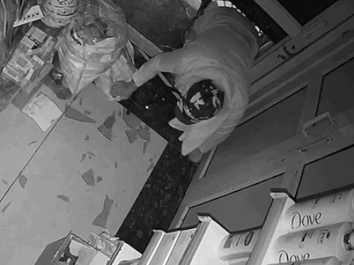 चंडीगढ़ में 2.5 लाख चोरी करने वाला गिरफ्तार:पुलिस ने CCTV से किया ट्रेस, कैश और दस्तावेज बरामद; पहले भी आपराधिक केस दर्ज
