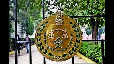 NGT seeks explanation from authorities over encroachment on village pond | Delhi News