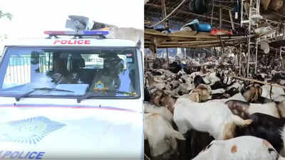 Goat Sacrifice: Goat sacrifice ritual called off in Goregaon society after clash ahead of Eid al-Adha | Mumbai News