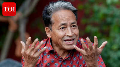Sonam Wangchuk calls himself ‘honorary cockroach,’ rejects Ladakh LG’s claims | Delhi News
