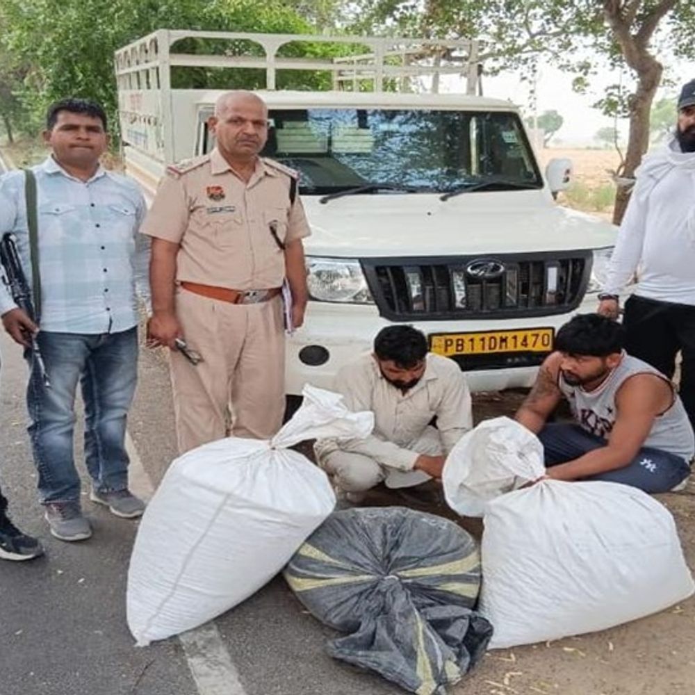 60 किलो डोडापोस्त के साथ पकड़े पंजाब के 2 तस्कर:राजस्थान के नागौर-जोधपुर रोड से बोलेरो में लाए; फतेहाबाद CIA ने पकड़ा