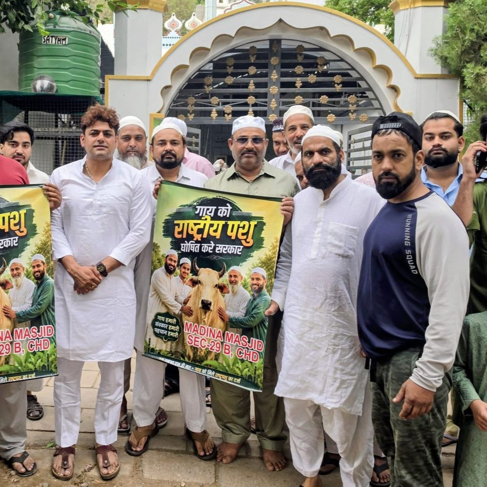 चंडीगढ़ में गाय को राष्ट्रीय पशु घोषित करने की अपील:ईद पर सेक्टर-29 मस्जिद के बाहर उठी मांग, सुबह 6 बजे से शुरू हुई नमाज