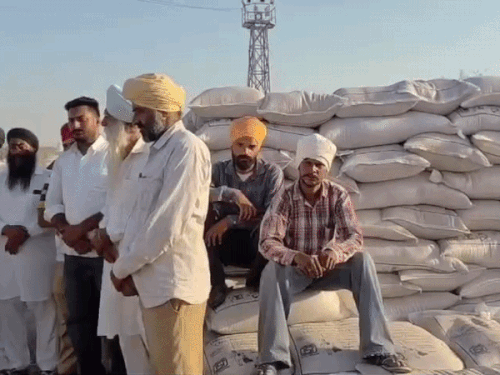 अजनाला चमियारी मंडी में गेहूं लिफ्टिंग ठप:बोरो के अंबार से आढ़ती और मजदूर परेशान, टेंडर होल्डर पर लगे गंभीर आरोप