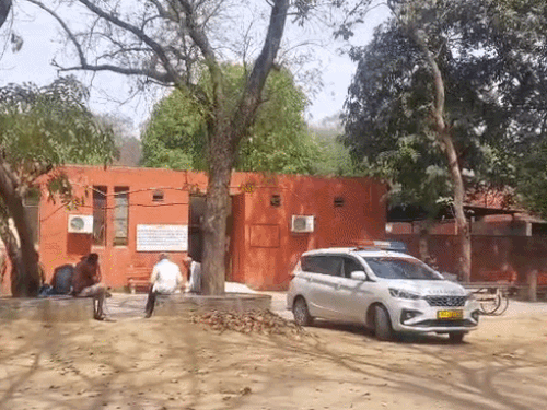 रोहतक में बुजुर्ग की पीट-पीटकर हत्या:गली में पड़ा मिला शव, सिर पर चोट के निशान; आपसी रंजिश का शक