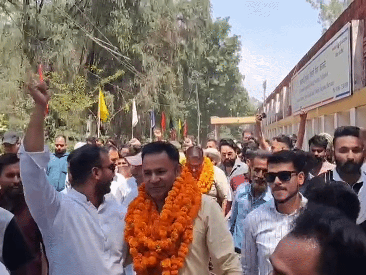 पठानकोट चुनाव में बहुमत से 3 सीट दूर भाजपा:भाजपा बना सबसे बड़ा दल, कांग्रेस को 18 सीटों का नुक्सान, त्रिशंकु नतीजों से दिलचस्प हुई मेयर पद की दौड़