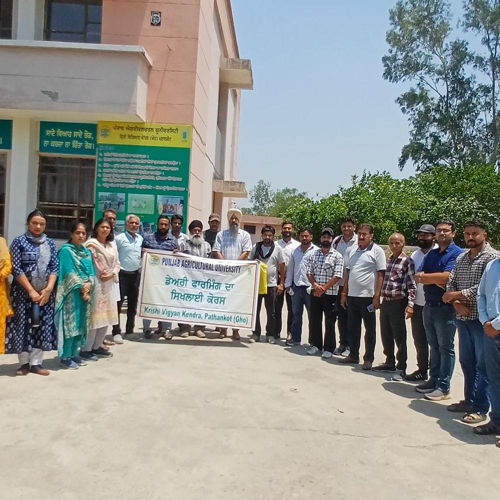 पीएयू ने युवाओं को सिखाए डेयरी फार्मिंग के गुर:युवाओं, किसानों को आधुनिक तकनीकों और सरकारी योजनाओं की जानकारी मिली