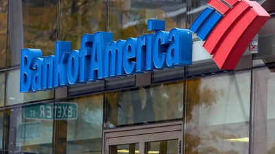 Interest in India strong despite volatility: Bank of America chief