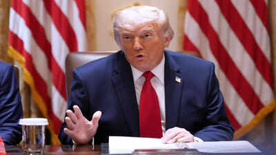 More Trump tariffs? Amid trade deal talks, US names India in its Section 301 findings; proposes additional duties