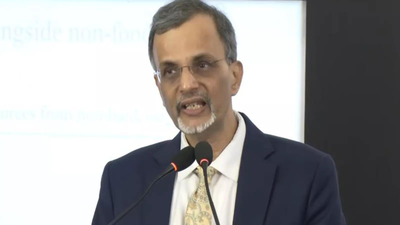 India does not use methodology changes to inflate growth numbers, CEA Nageswaran defends GDP data