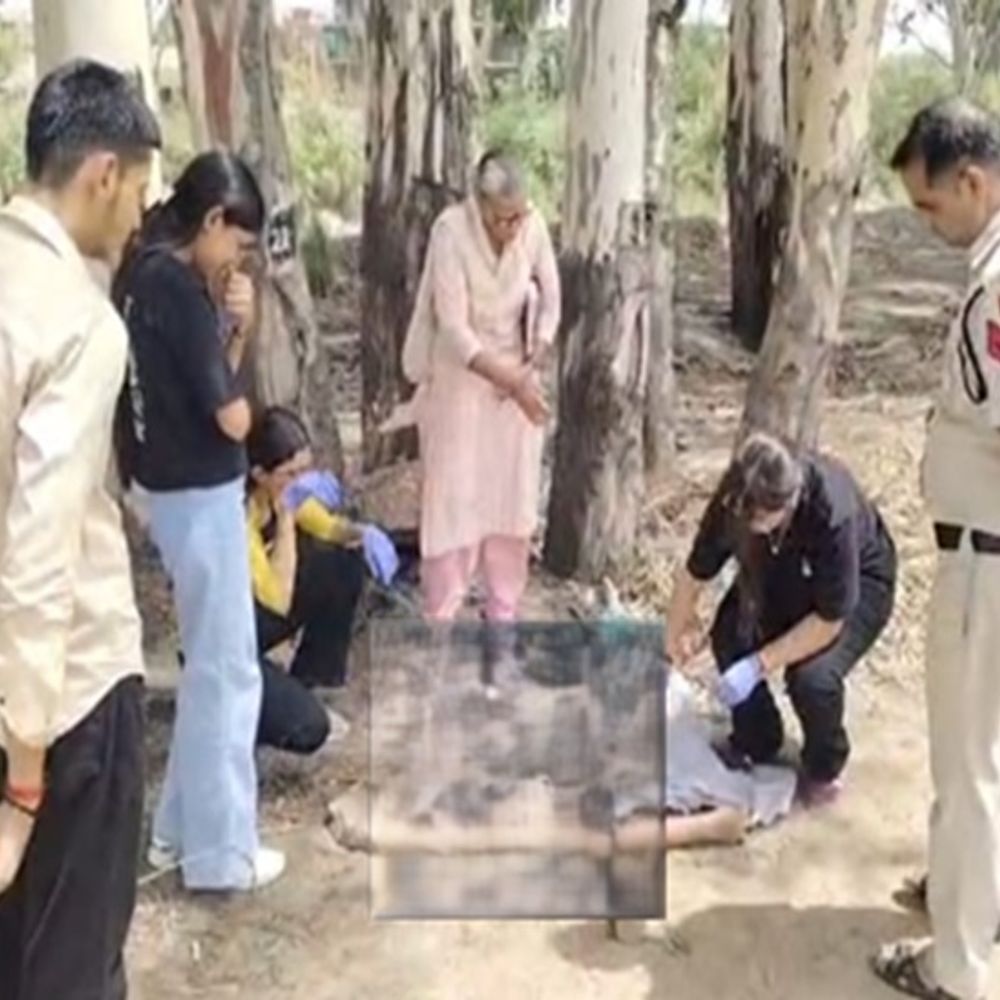 रोहतक जेएलएन नहर में डूबी महिला:लोगों ने रस्सी फेंक बचाने का किया प्रयास, नहीं मिला कोई दस्तावेज
