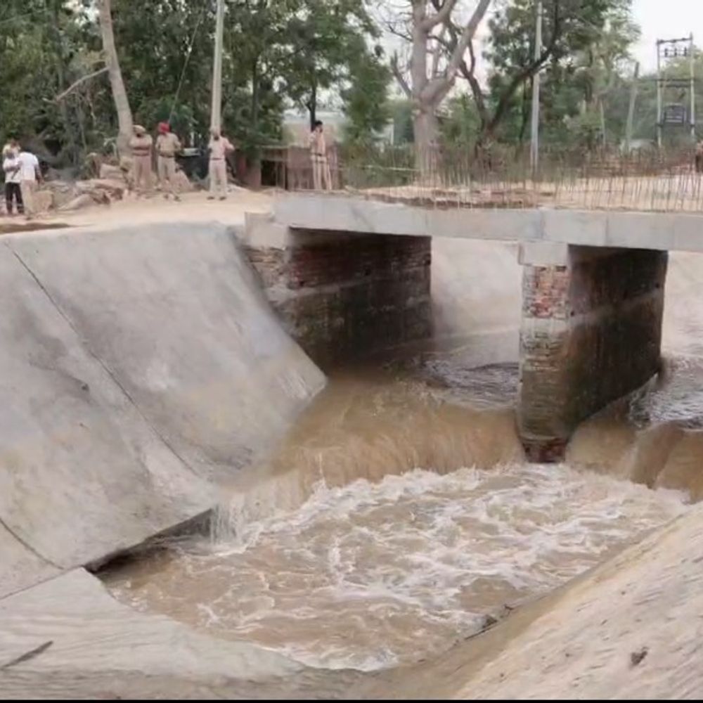 मानसा के भीखी में फिर टूटी नहर:बड़ी दरार आई, धान की फसल और घरों में घुसा पानी; किसानों को भारी नुकसान
