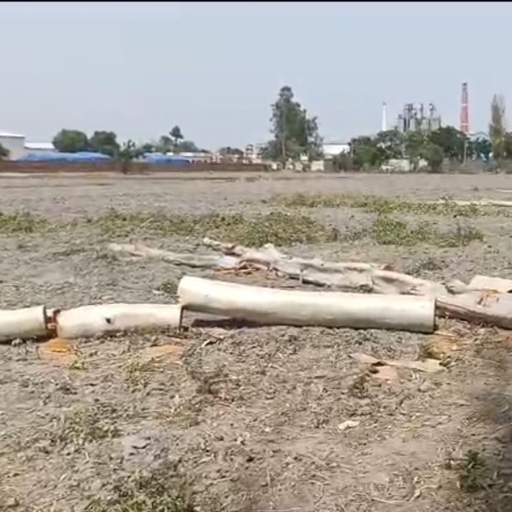 टोहाना पहुंची DFO भिवानी की टीम:टोहाना में अवैध तरीके से 18 पेड़ काटने की जांच, लोगों के बयान लिए, खेत मालिक गायब