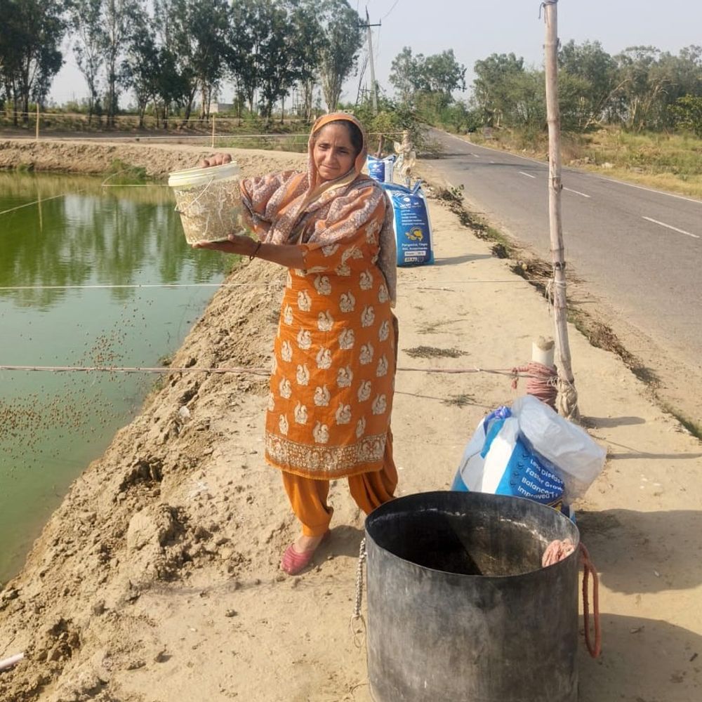 खरकड़ा की मनीषा ने मत्स्य पालन से कमाए ₹5 लाख:50 मीट्रिक टन मछली का उत्पादन किया; डीसी बोले-महिलाओं के लिए प्रेरणा बनीं