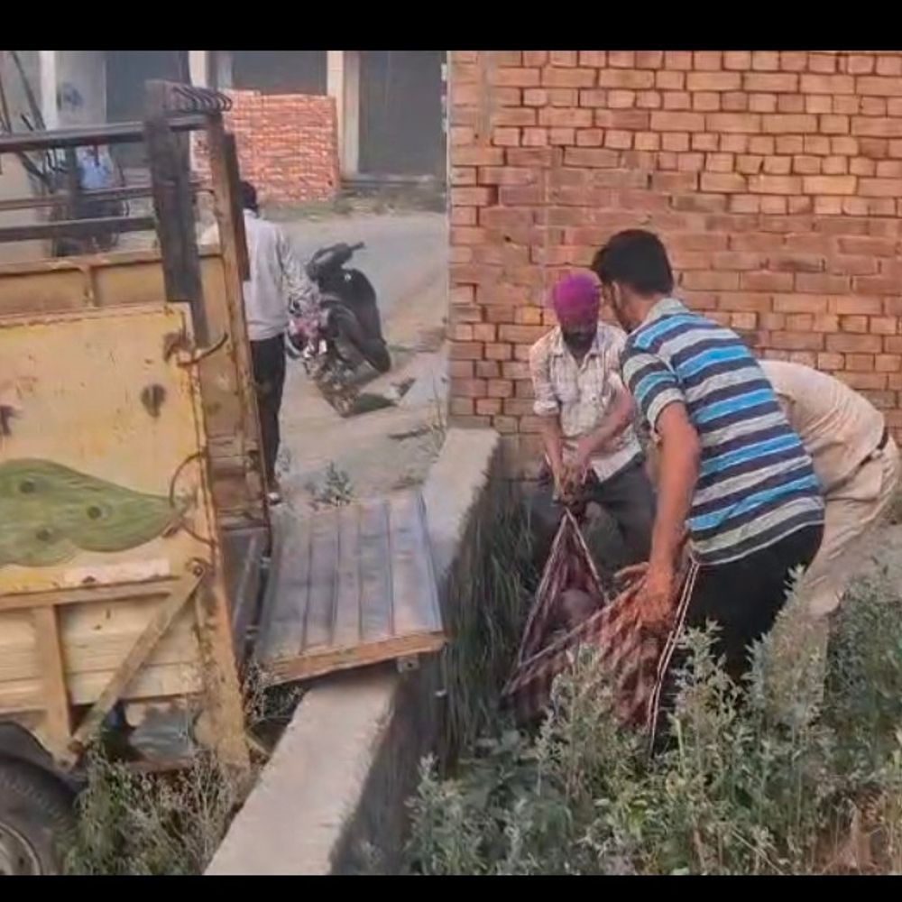 पटियाला में खाली प्लॉट से आ रही थी तेज दुर्गंध:जांच करने पहुंची पुलिस को मिला महिला का शव; पहचान में जुटी टीम
