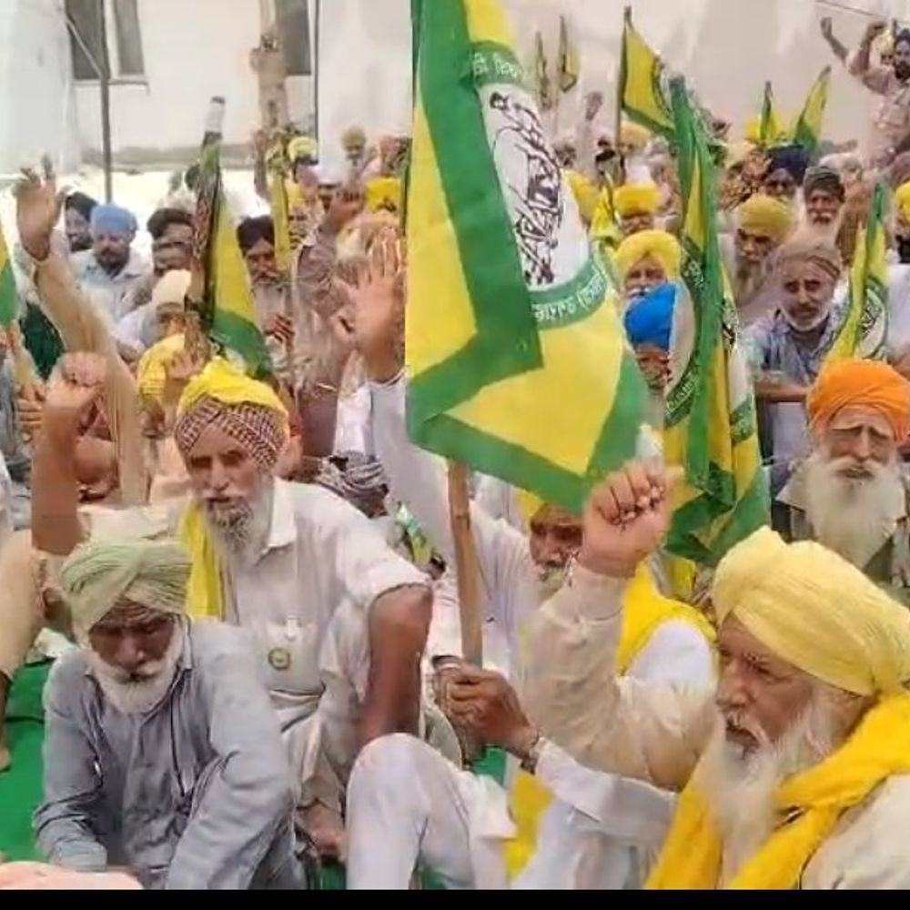 बिजली कटौती से परेशान किसानों का प्रदर्शन:मानसा, बुढलाडा और सरदूलगढ़ में पावरकॉम दफ्तरों के बाहर धरना