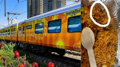 A fly in veg biryani on Tejas Rajdhani train; IRCTC slaps caterer with Rs 1 lakh fine | Delhi News