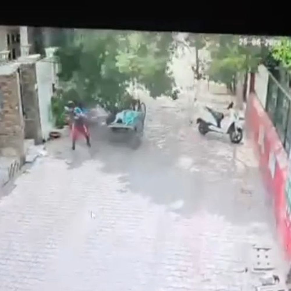 खन्ना में 150 साल पुराना पीपल का पेड़ गिरा:रिक्शा ड्राइवर ने कूदकर बचाई जान, बिजली के खंभे टूटे