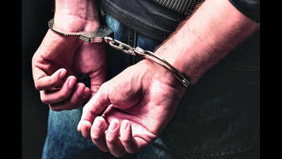 Customs arrests 2 for smuggling 15.4 Kg weed in geysers | Delhi News