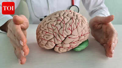 Brain Fitness: Brain can rewire and thrive at any age, study finds |
