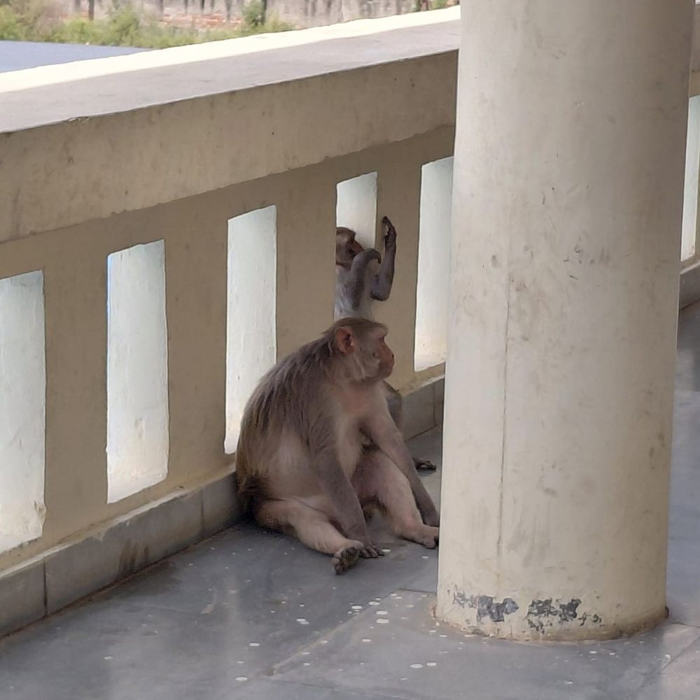 c6e0d322-e023-4125-bd95-174b3ceaa068_1781948310745.jpg