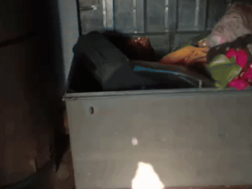 नारनौल में घर से लाखों के गहने चोरी:घर में रंग-रोगन करने आए तीन लोगों पर शक, 9 तोला सोने के बने थे