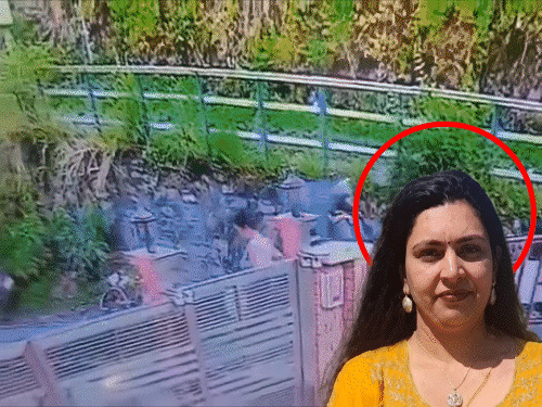 स्कूल ऑनर मनीषा मित्तल को छोटे भाई ने मरवाया:साढ़े ₹8 लाख दोस्त को दिए, ₹70 हजार में सुपारी दी; शिमला में पॉइंट ब्लैंक रेंज से गोली मारी