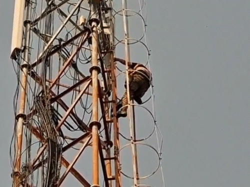 पत्नी गायब हुई तो बेटी लेकर टावर पर चढ़ा पति:लव मैरिज की थी, नशामुक्ति केंद्र से घर नहीं लौटी; मां बोली– खमाणो पुलिस ने शिकायत दर्ज नहीं की