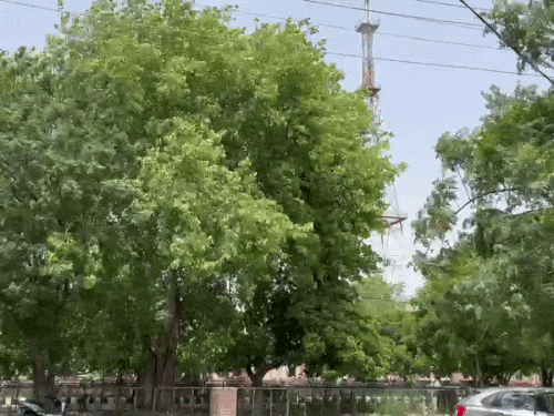 हरियाणा में बारिश-आंधी से 5°C तक गिरा तापमान:3 जिलों में बारिश के चांस, 17 जून तक मौसम बदलता रहेगा, नारनौल सबसे गर्म शहर