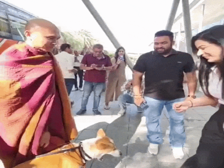 3700 किलोमीटर पदयात्रा करने वाले डॉग से मिलने की होड़:गुरुग्राम में युवतियों ने सेल्फी ली, मेनका गांधी से मिला; इंस्टाग्राम पर 4.8 लाख फॉलोअर्स