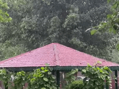 हरियाणा के 17 जिलों में बारिश का येलो अलर्ट:50kmph की रफ्तार से हवा चलेगी; हिसार-नारनौल में दिन का पारा 9°C तक गिरा