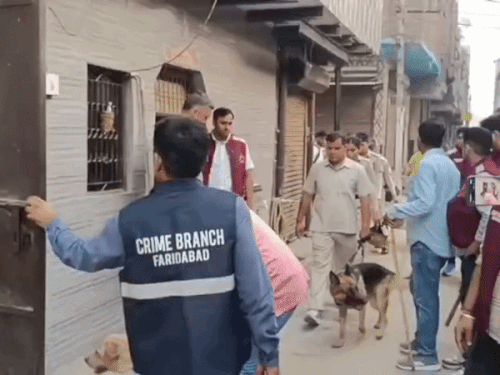 फरीदाबाद की कॉलोनी में पुलिस का सर्च ऑपरेशन:डॉग स्क्वायड और ब्लैक कमांडो की संयुक्त कार्रवाई; संदिग्ध लोगों से पूछताछ