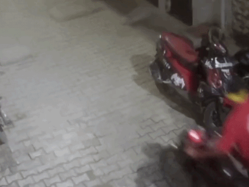 फरीदाबाद में घर के बाहर खड़ी बाइक चोरी CCTV:रात दो बजे लॉक तोड़कर बाइक ले उड़ा बदमाश, खेड़ी पुल थाना पुलिस कर रही जांच