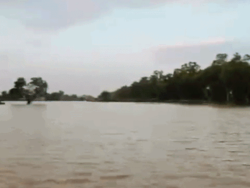 सिरसा की मम्मड़ नहर में दरार, घरों तक पहुंचा पानी:60 फुट तक आई, फसलें जलमग्न, 50 मकानों को नुकसान, एसडीआरएफ की टीम पहुंची