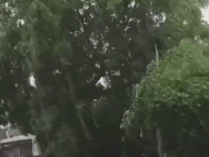 सिरसा में तेज आंधी और बारिश:भीषण गर्मी से राहत; कई गांवों में बिजली आपूर्ति प्रभावित, फसलों को लाभ