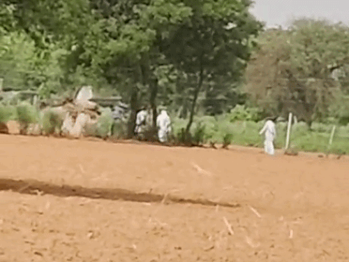 रेवाड़ी में बिजली ट्रांसफार्मर के नीचे रखा शव:ALM ने 300 मीटर दूर से बनाई Video, खेत में करंट से मौत की आशंका