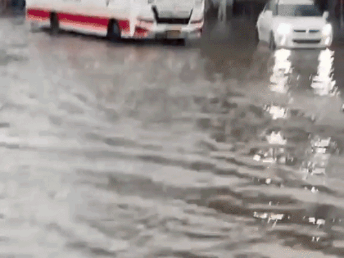 हांसी में आंधी-बारिश से गिरा मोबाइल टावर:इमारतों को नुकसान, शहर में जलभराव; बिजली के पोल गिरने से आपूर्ति बाधित