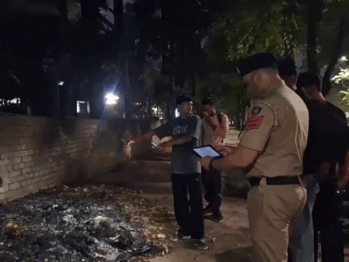 चंडीगढ़ में मिला जला हुआ कुत्ता:एक महीने में दूसरी क्रूर वारदात, CCTV खंगाल रही पुलिस, देर रात राहगीर ने दी सूचना